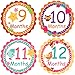 PAMBO Monthly Baby Stickers 16Pcs | Waterproof Milestone Newborn Stickers for Boys & Girls | Ideal for Scrapbooking, Important Events & Celebrations, Photo Keepsake, Craft Projects & Baby Shower