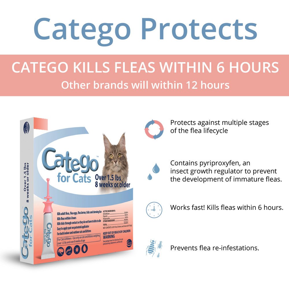 Catego C70850B Single Dose Flea Tick Treatment for Cats 851321007724 eBay