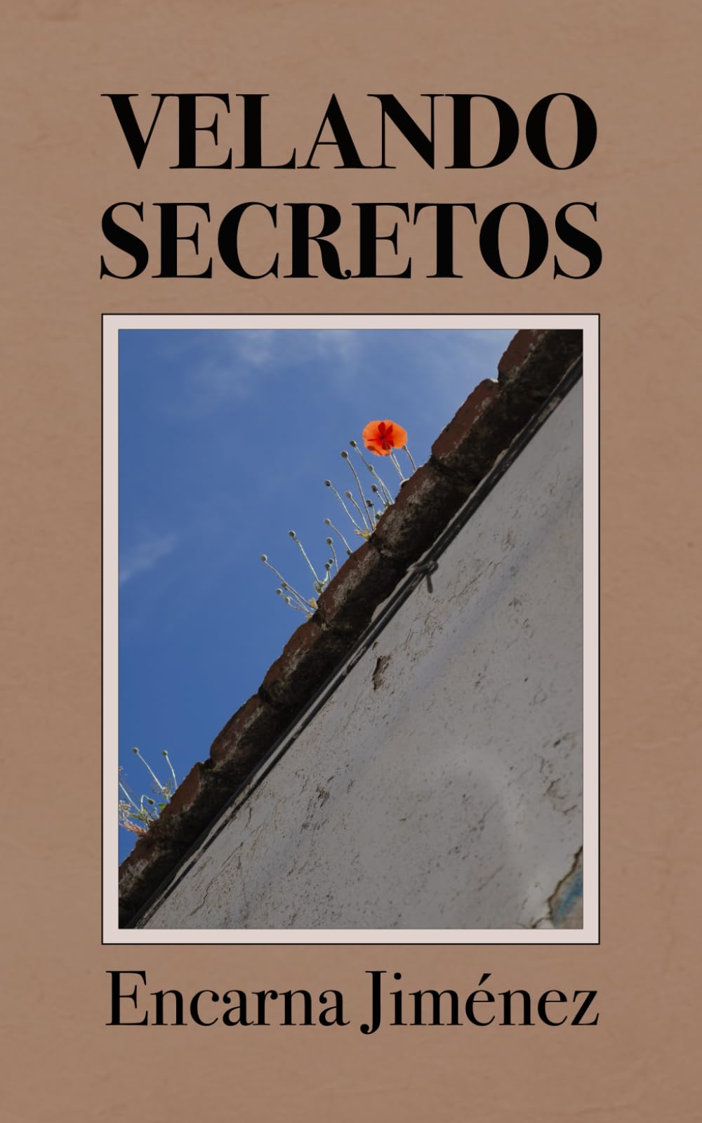 Portada de Velando Secretos: Una novela histórica sobre secretos familiares y que denuncia los prejuicios sociales contra las mujeres a mediados del siglo XX