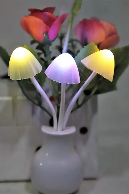 PRO365 Plastic Automatic on/off Night Sensor Nature Lamp Illumination with Flowers (Multi-coloured)