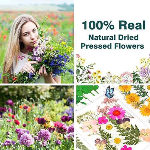 HAKACC Dried Pressed Flowers, 115PCS Flat Flowers for Resin Real Dried Flowers Leaves and Butterfly Stickers for Scrapbooking Jewellery Nail Art DIY crafts