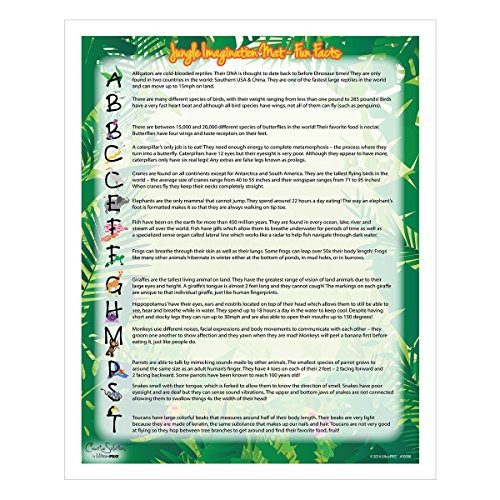 Jungle Imagination Play Mat