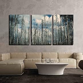 3 Piece Canvas Wall Art - Landscape with Aspen Trees in Fair Weather - Modern Home Art Stretched and Framed Ready to Hang - 16"x24"x3 Panels