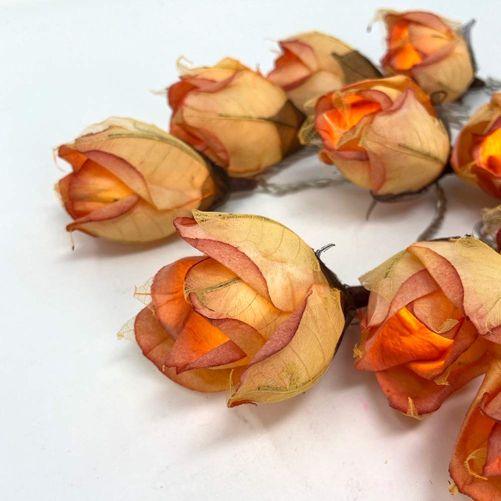 Blaze On Chelsea Rose Fairy Lights (Glowing Peach) – 20 Warm White LED Lights – Handcrafted Roses Created from Mulberry Paper – USB Powered with UK 3-Pin Adapter – Indoor String Lights