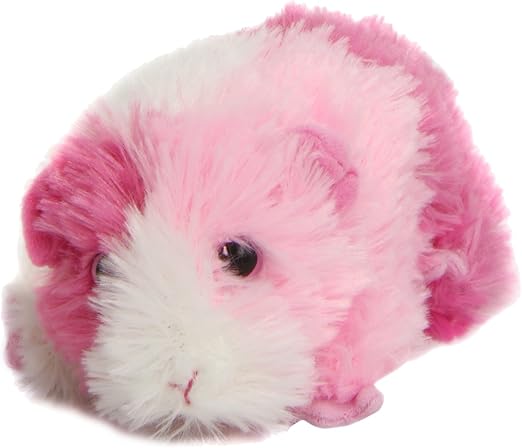 guinea pig toys amazon