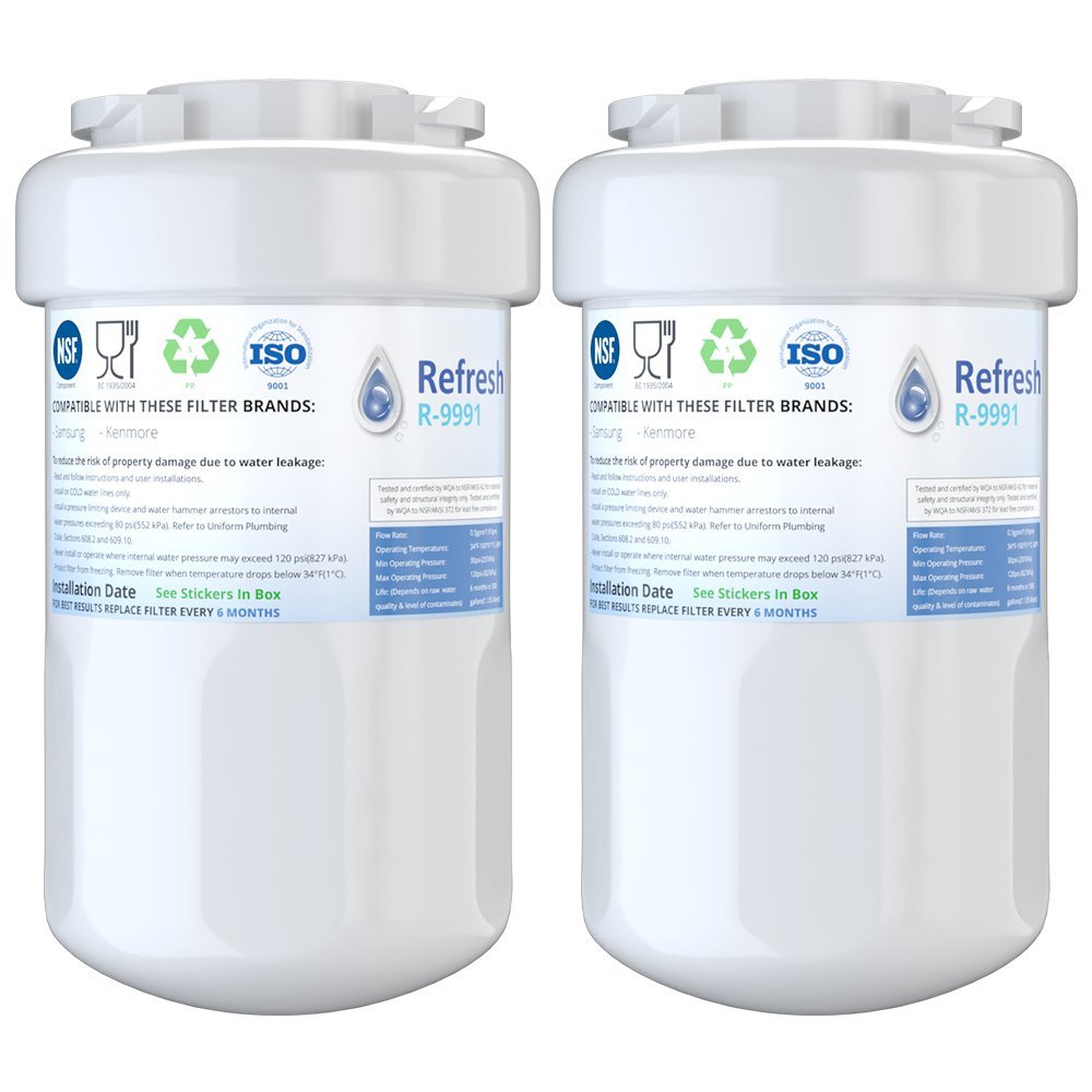 Best ge water filter for fridge rpwfe
