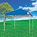 E-Z UP Envoy Instant Shelter Canopy, 10 by 10', Blue