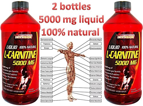 High Strength Liquid L-carnitine 5000 Orange Flavor Total 32 Onz 2 Bottles of 16 Oz Each One