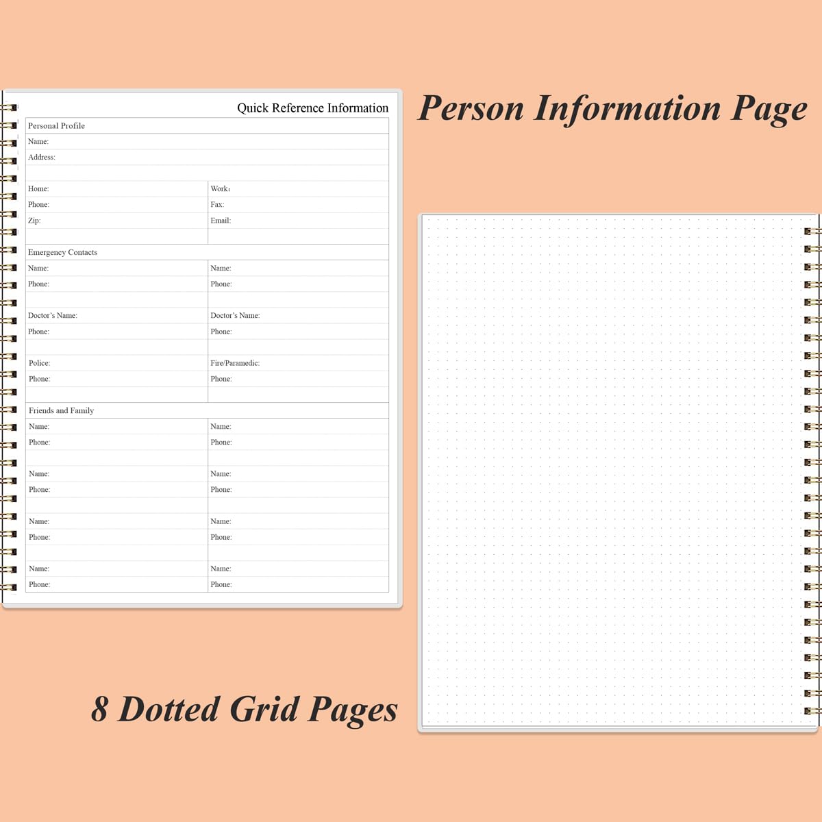 View 5