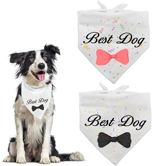 best dog bandana wedding