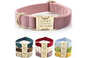 PETDURO Custom Dog Collar Personalized with Name Engraved Gold Metal Buckle for Large Medium Small Female Girl Dogs - Dog Lea