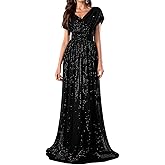 Women's Sequin V-Neck Short Sleeve A-Line Evening Dress Elegant Evening Dresses Party Gowns