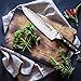 Kebley Chef Kitchen Knife Sharpener, 3 Stage Coated Wheel System, Stainless Steel for Straight