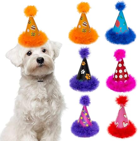 pet hats for dogs