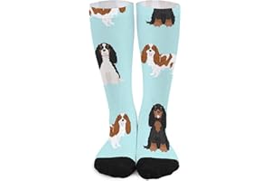 Unisex Novelty Crew Socks,Cavalier King Charles Spaniel Mixed Coats Dog Light Blue Mid Calf Dress Socks Sports Socks Knee Hig