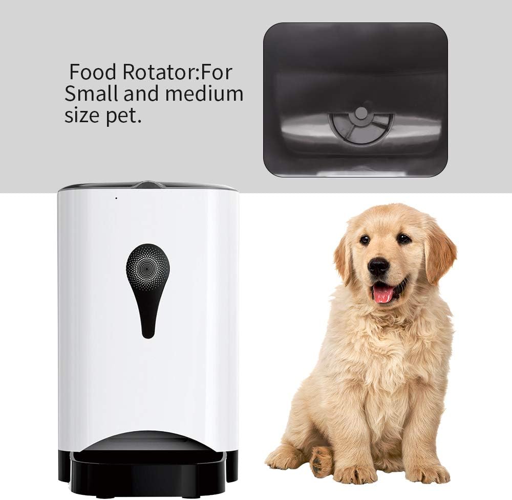 smart dog feeder alexa