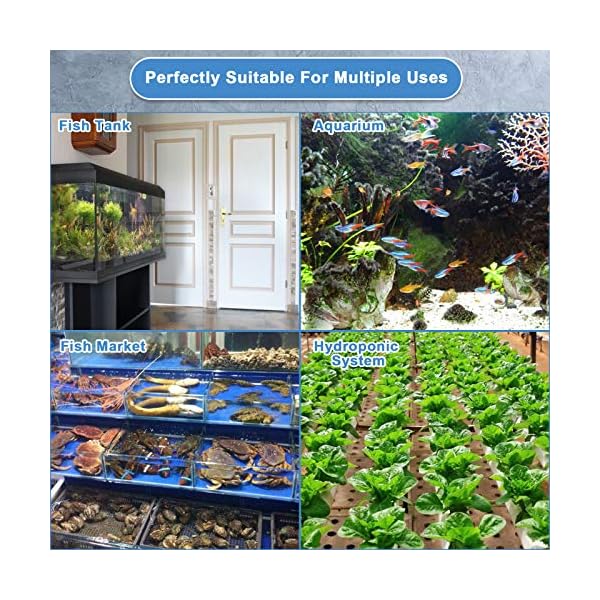 Zacro Aquarium Air Pump - Ultra Silent Oxygen Pump with Dual Outlet Adjustable Air Valve, Air Volume 2 * 5 L/min 6 W, Up…