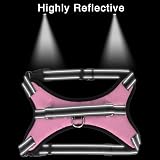 FYY Dog Harness No Pull Breathable Adjustable Reflective Vest Pink M-L view 5