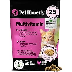 61iDOWwDh+L. AC UL250 SR250,250