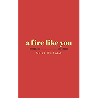 a fire like you book cover