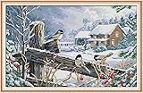 Joy Sunday Cross Stitch Kits, Bird on The Fence Pattern Cross-Stitch Sets 11CT Stamped kit 24''x16''