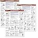 Anatomical Stretching Charts (set of 3)