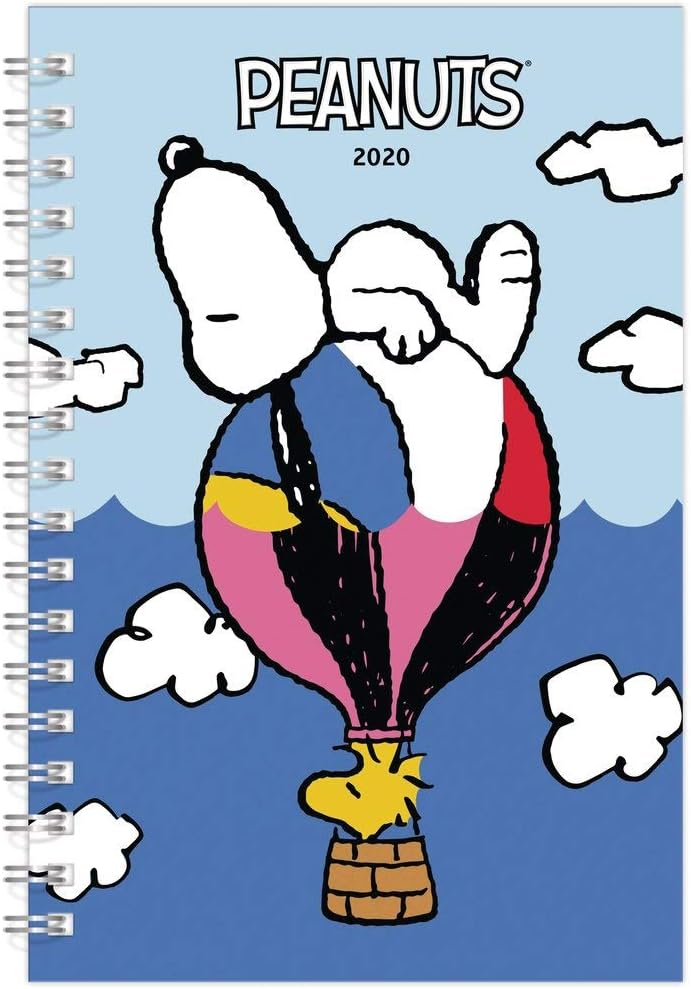 2020 Peanuts Weekly & Monthly Planner (DDEN202820)