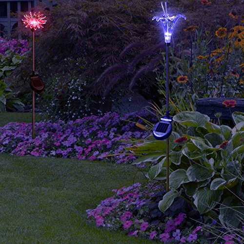image for SolarDuke Flower Garden Lights Solar Powered Outdoor Stakes Color Chan