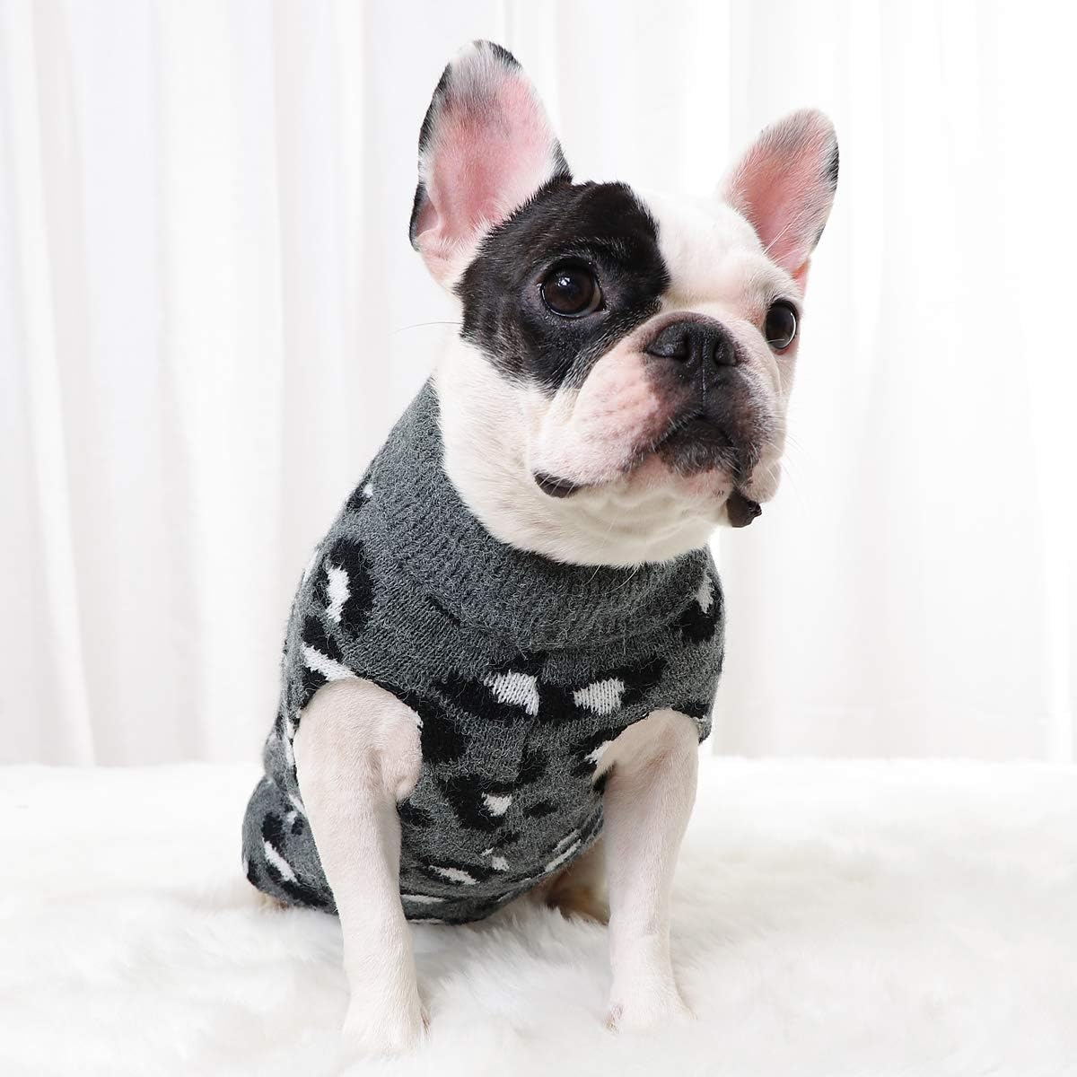 leopard dog sweater