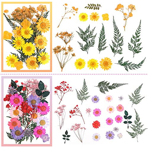 Bloomst Dried Flowers, 4 Pack 100Pcs Pressed Natural Dried Flowers Herbs Set for Resin Jewelry Making Soap Candle Making