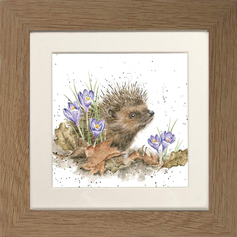 Wrendale Designs "New Beginnings Hedgehog Framed Picture (Oak)