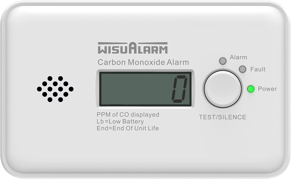 WISUALARM WisuAlarm Carbon Monoxide Detector 10-Year Battery LCD EN