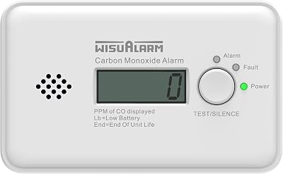 WISUALARM WisuAlarm Carbon Monoxide Detector 10-Year Battery LCD EN