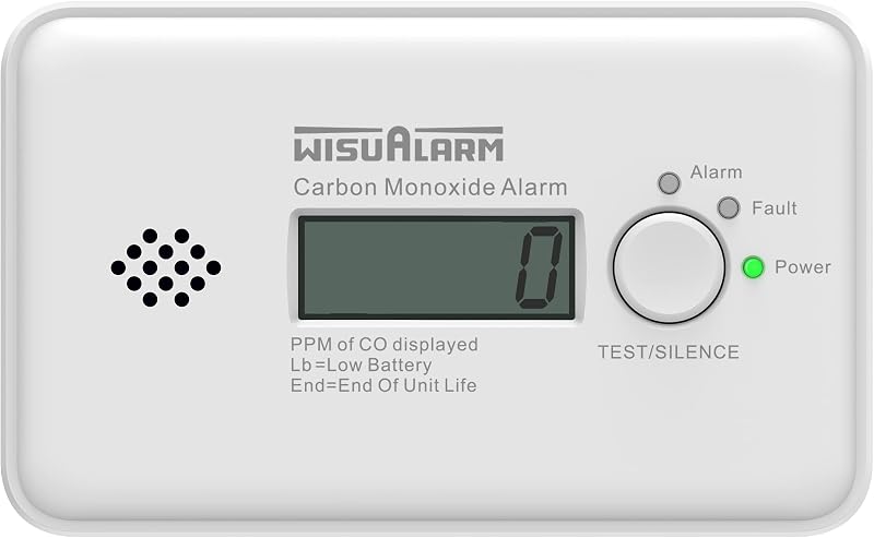 WISUALARM WisuAlarm Carbon Monoxide Detector 10-Year Battery LCD EN
