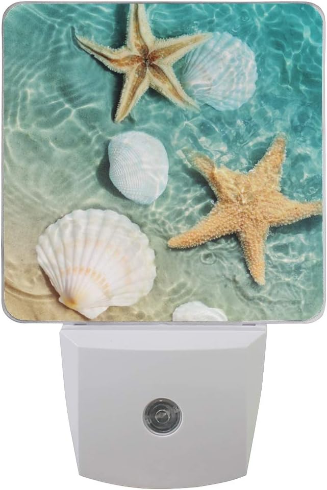 VIKKO Starfish Seashell Summer Beach Night Light Plug in 2
