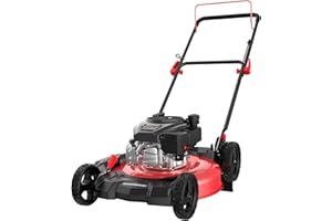 PowerSmart 21-Inch Gas Push Lawn Mower with 144cc 4-Cycle OHV Engine, 2-in-1 with Mulch and Side-Discharge, 6-Position Adjustable Cutting Height (DV8621C)