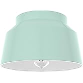Hunter - Cranbrook 1-Light Mint, Medium Size Flush Mount Light, Dimmable, Modern Style, Bell Shaped, for Bedrooms, Kitchens, 