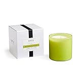 LAFCO New York Signature Candle, Rosemary