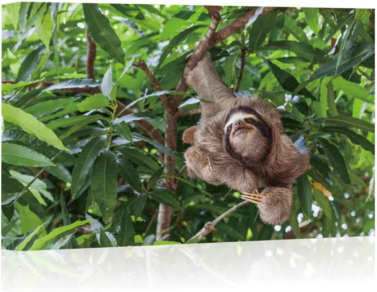 155501 - Lona para decoración de Sala de Estar, diseño de Perezoso en