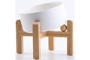 Petygooing White Raised/Elevated 15°Slanted Ceramic Dog Bowl for Small Breeds,Tilted Anti Slip Pet Feeding Bowl,Food Water Dish with Stand for Cats and Small Dogs Puppy 13.5 OZ (5.1In / 1.7 Cups)