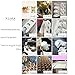 Puppy Dog Glasses Holder Stand Eyeglass Retainers Sunglasses Display Cute Animal Design Decoration (Pug)