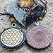 GEMSTORE369 Black Tourmaline Orgone Pendant | Flower of Life Symbol | EMF Protection | 2 inch Diameter with Adjustable Necklace | Reiki Infused (Black)