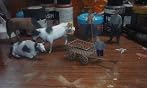 Master Box 1/35 Scale WWII Western Region Civilians - 4 Figure Model Kit With Hand Cart, Plastic Unpainted - View #13