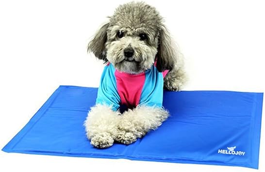 Amazon ペット用冷却マット クールマット 涼感冷感マット 犬猫用 多用途 熱中症 暑さ対策 ひんやりグッズ エコ クーラー病予防 M Xlサイズ 夏用 Xl 50 90cm Hellojpy ベッドマット 通販 Amazon ペット用冷却マット クールマット 涼感冷感マット 犬猫用 多用途 熱中症 暑さ対策 ひんやりグッズ エコ クーラー病予防 M Xlサイズ 夏用 Xl 50 90cm Hellojpy ベッドマット 通販