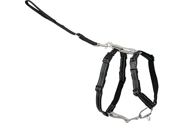 PetSafe 3 in 1 Dog Harness - No Pull Solution for Dogs - Reflective Dog Harness - Front D-Ring Clip Helps Stop Pulling - Comf