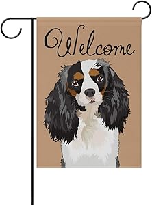 My Daily Welcome Cavalier King Charles Spaniel Dog Decorative Double Sided Garden Flag 12 x 18 inch Garden Banner Yard Flag
