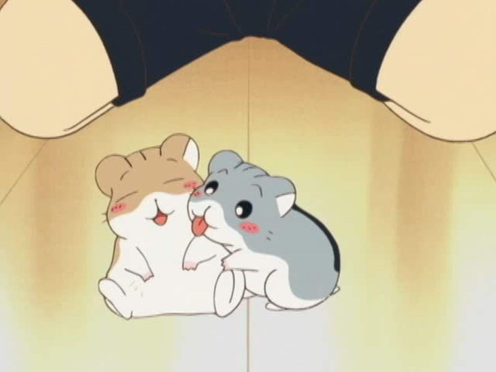 Amazon Co Jp ハムスター倶楽部 Dアニメストア を観る Prime Video