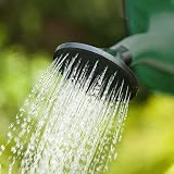 Accurate 6L Watering Can with Sprinkler Rose Green garden tool view 5