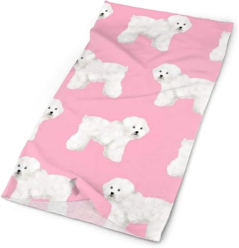 bichon frise accessories