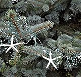 Beach Decor Nautical Beaded Starfish Garland - White Starfish Decorative Garland - 5FT TEAL